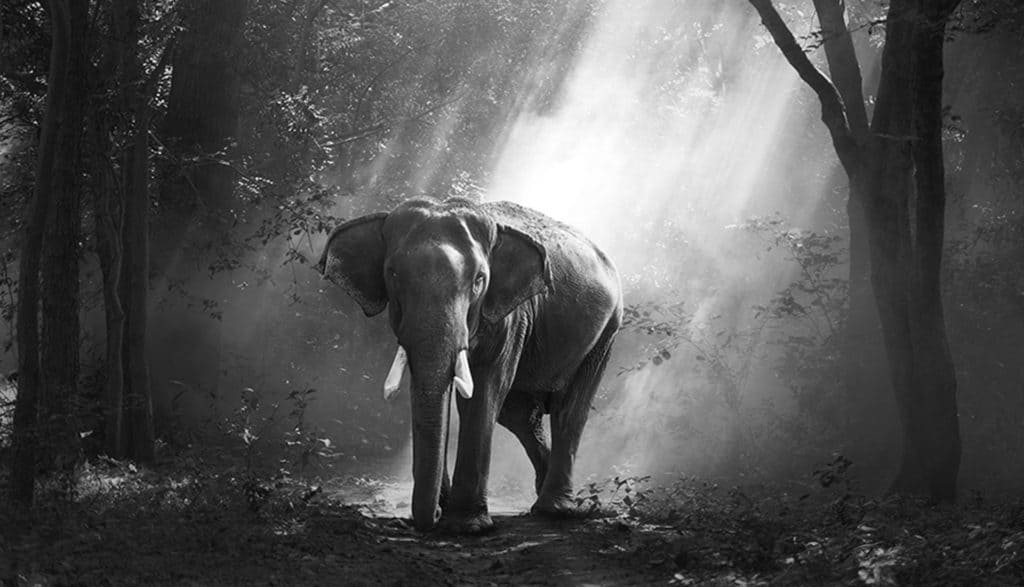 mid01 free img 1024x587.jpg